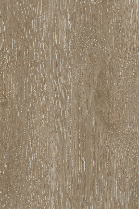 Cypress Beige