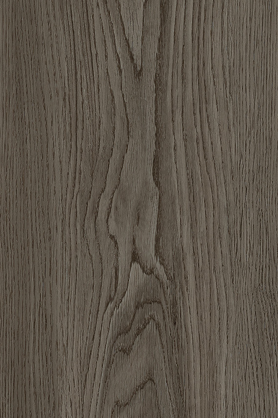 Oak Dark