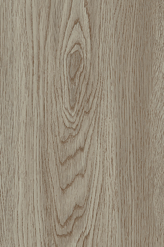 Oak Light